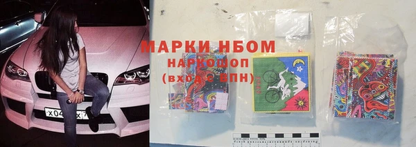 крисы Аркадак