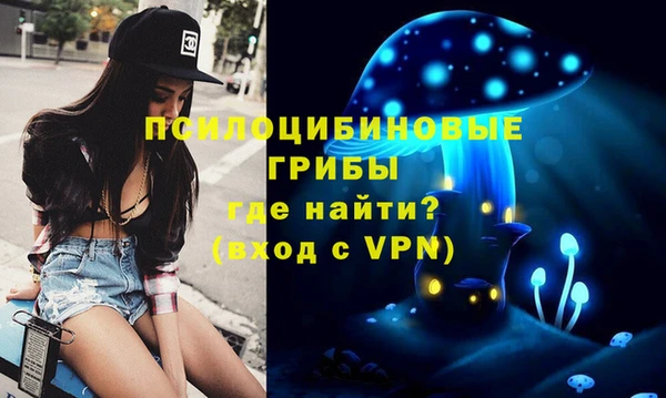 прущие грибы Алексеевка
