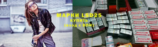 PSILOCYBIN Армянск