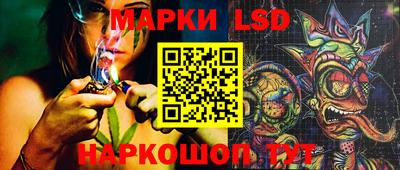сатива Будённовск