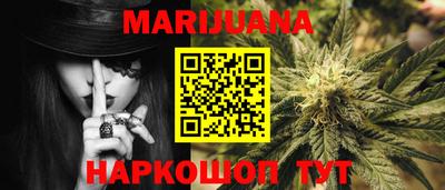 сатива Будённовск