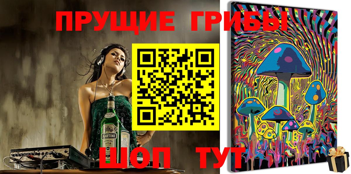 Псилоцибиновые грибы Cubensis Ахтубинск