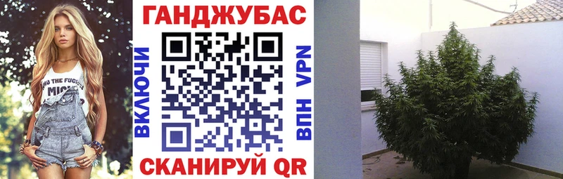 Бошки Шишки план  цена наркотик  Ахтубинск 